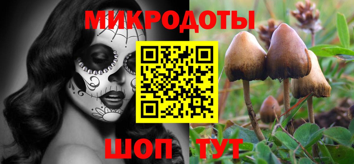 Россошь  Псилоцибиновые грибы Cubensis  Галлюциногенные грибы Psilocybine cubensis  Вход с VPN 